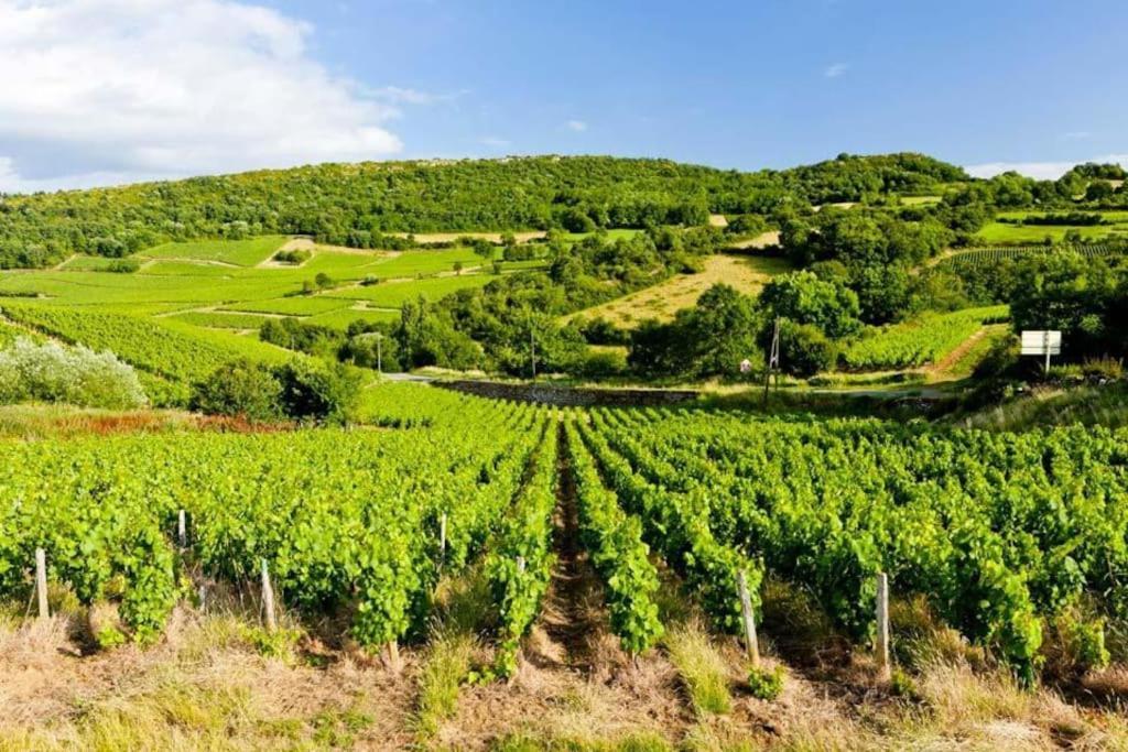 Le Chardonnay - Locationtournus Tournus Exterior foto